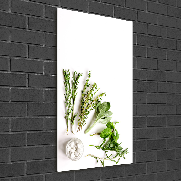 Print on acrylic Herbs