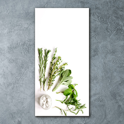 Print on acrylic Herbs