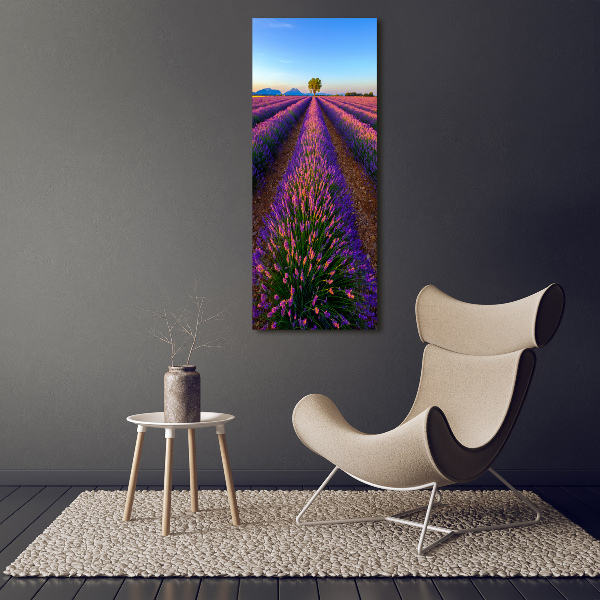 Wall art acrylic Lavender field