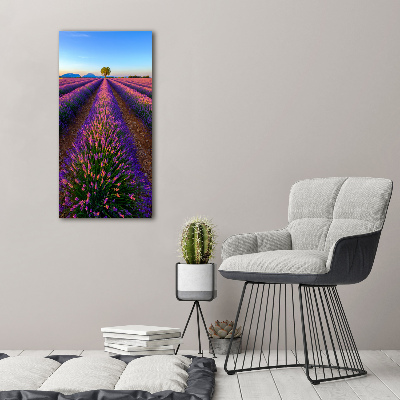 Wall art acrylic Lavender field