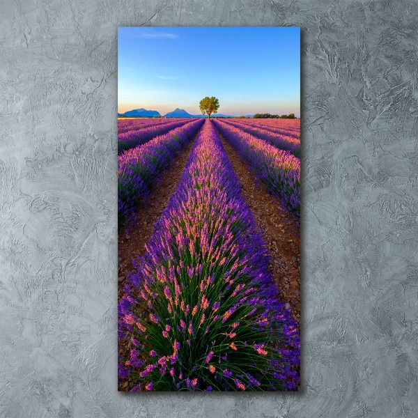 Wall art acrylic Lavender field