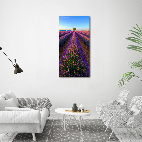 Wall art acrylic Lavender field