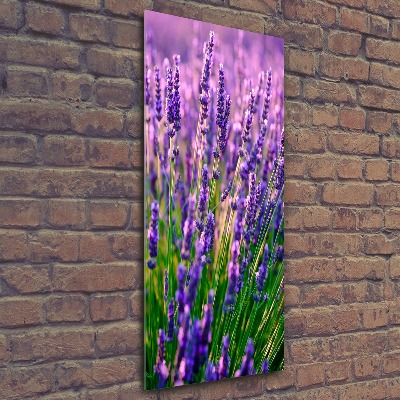 Print on acrylic Lavender field