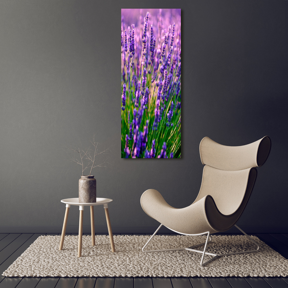 Print on acrylic Lavender field