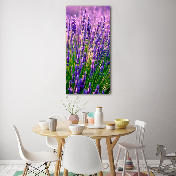 Print on acrylic Lavender field