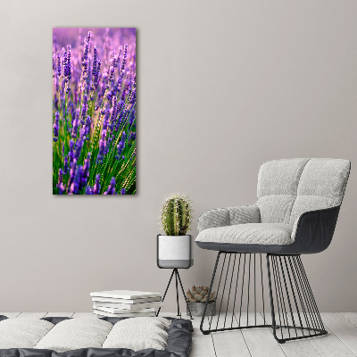 Print on acrylic Lavender field