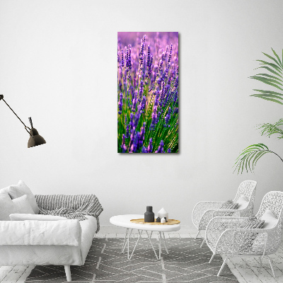 Print on acrylic Lavender field