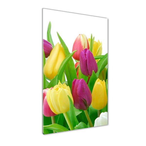 Print on acrylic Colorful tulips