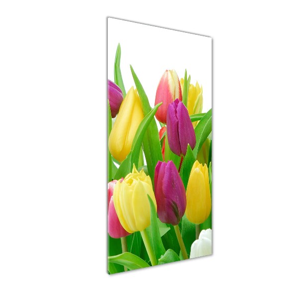 Print on acrylic Colorful tulips