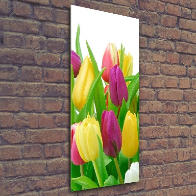 Print on acrylic Colorful tulips