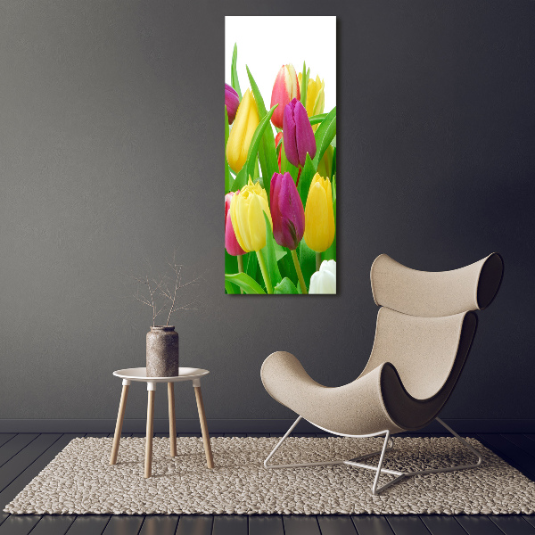 Print on acrylic Colorful tulips