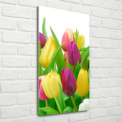 Print on acrylic Colorful tulips