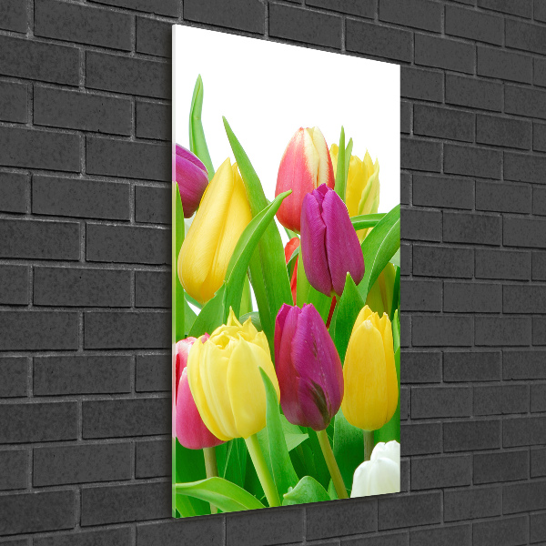 Print on acrylic Colorful tulips