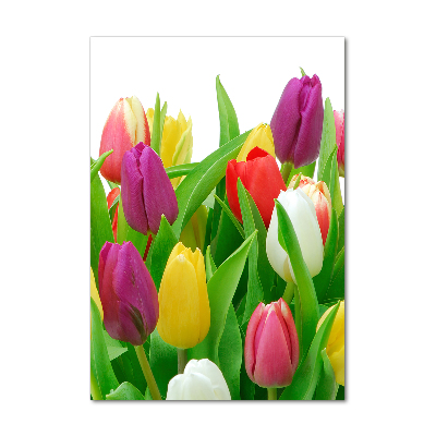 Print on acrylic Colorful tulips