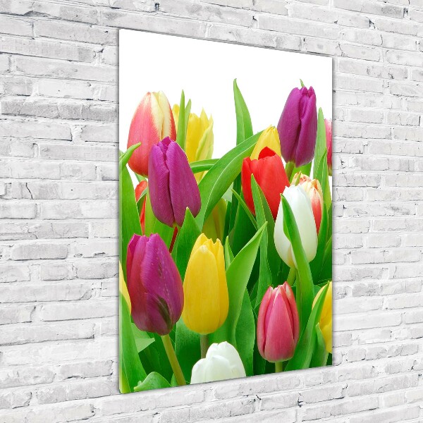 Print on acrylic Colorful tulips