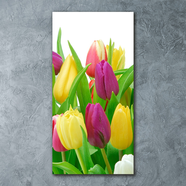 Print on acrylic Colorful tulips