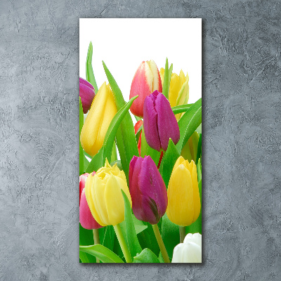 Print on acrylic Colorful tulips