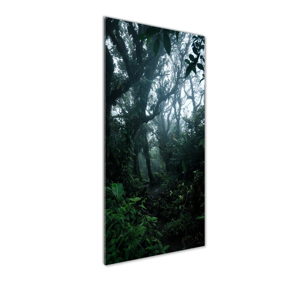 Print on acrylic the rainforest