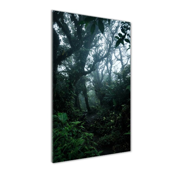 Print on acrylic the rainforest