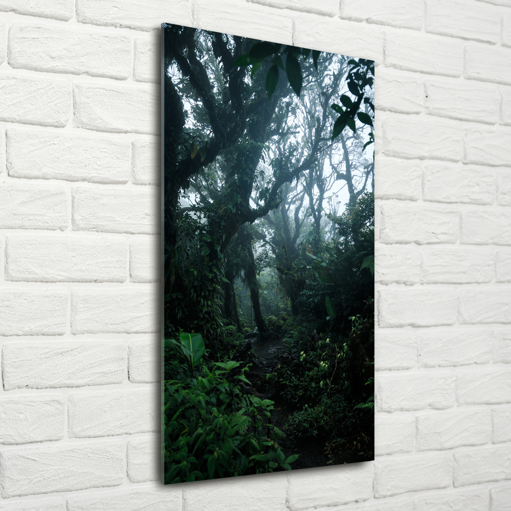 Print on acrylic the rainforest