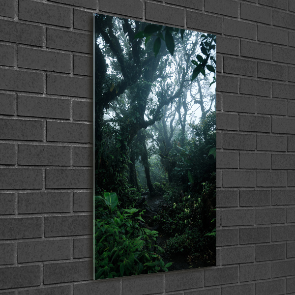 Print on acrylic the rainforest