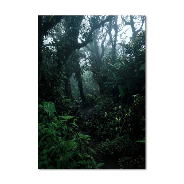 Print on acrylic the rainforest