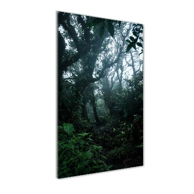 Print on acrylic the rainforest