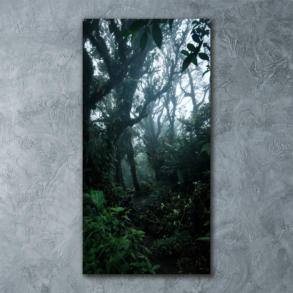 Print on acrylic the rainforest