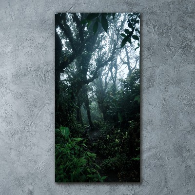 Print on acrylic the rainforest