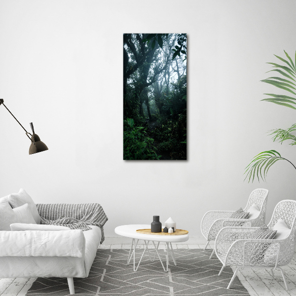 Print on acrylic the rainforest