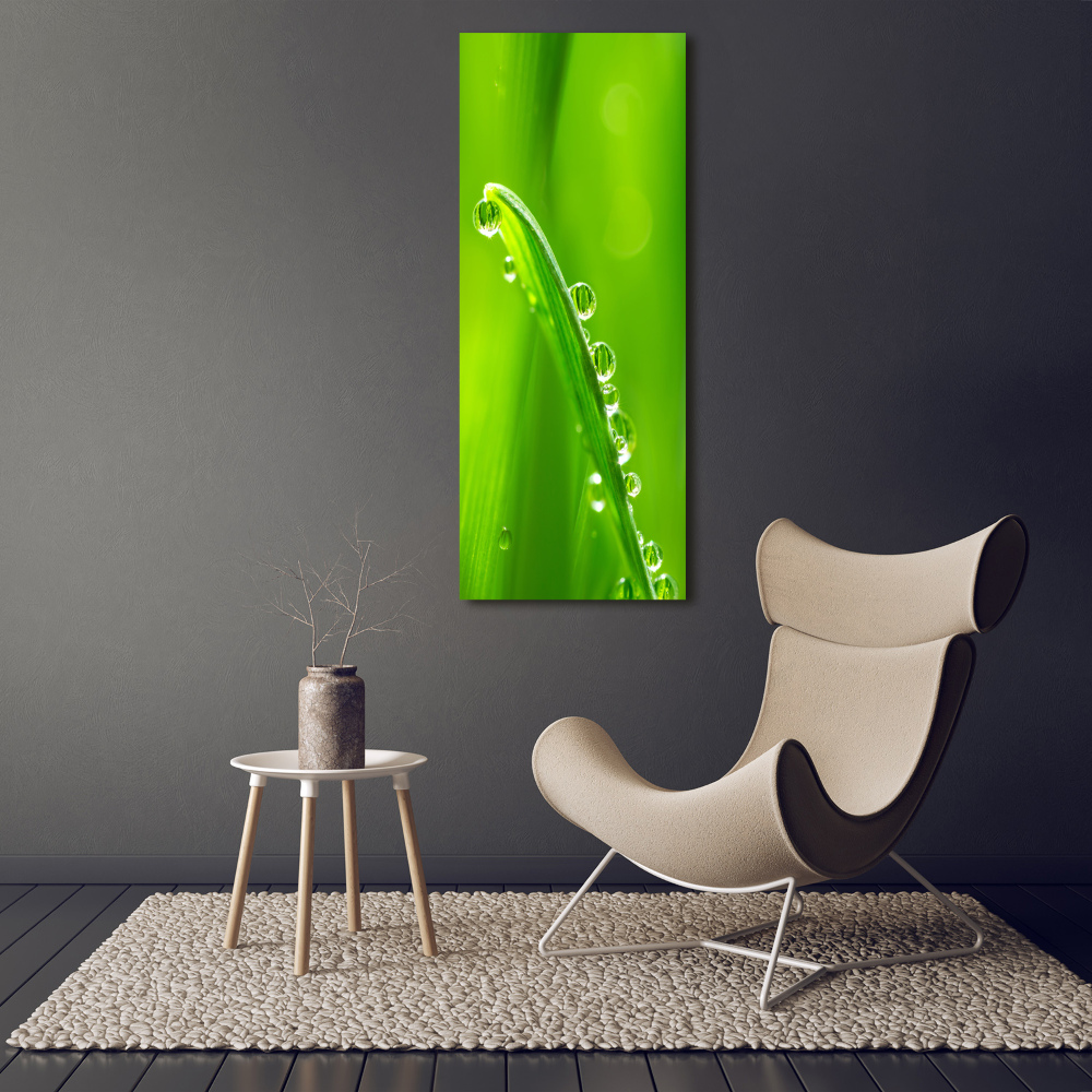 Print on acrylic Blade of grass