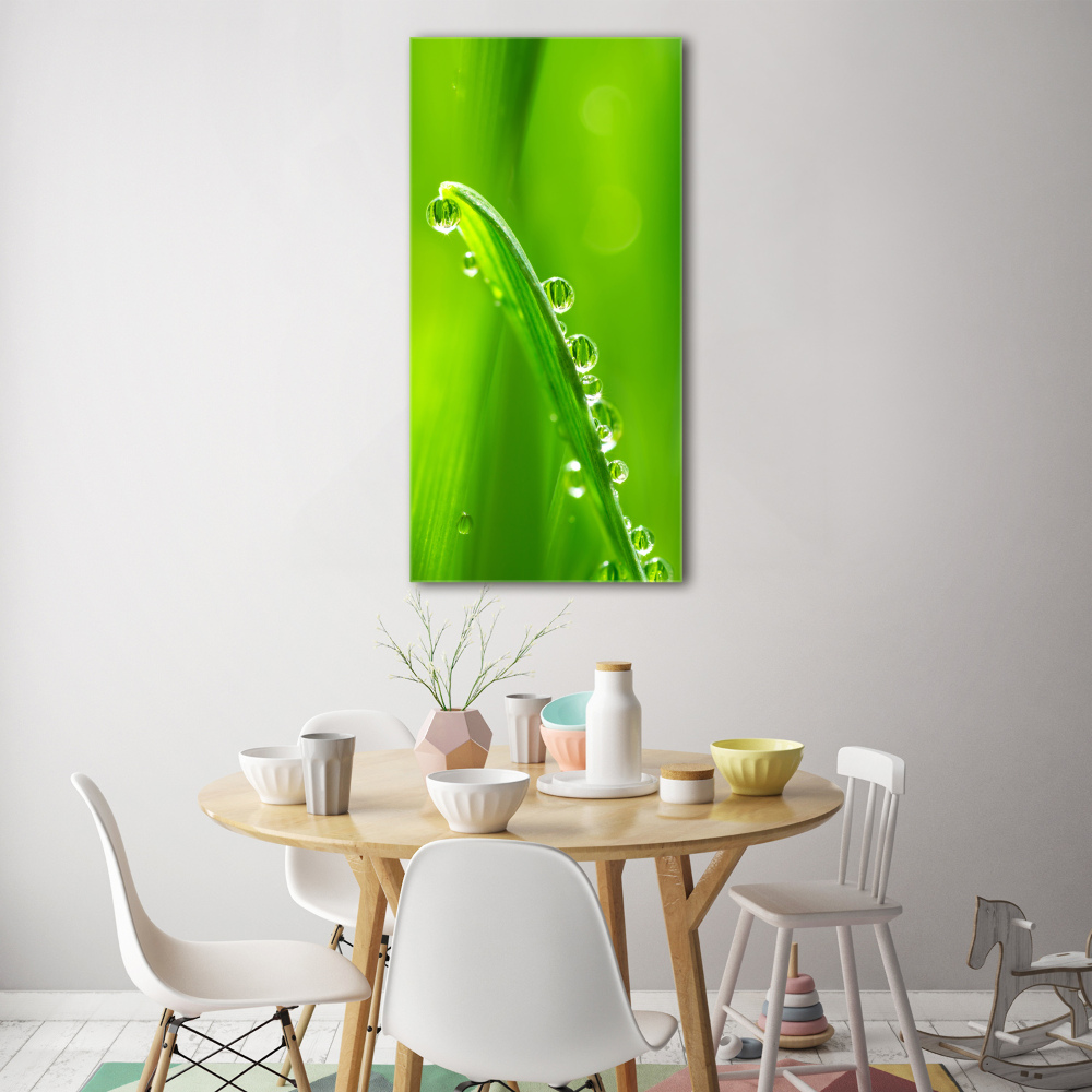 Print on acrylic Blade of grass