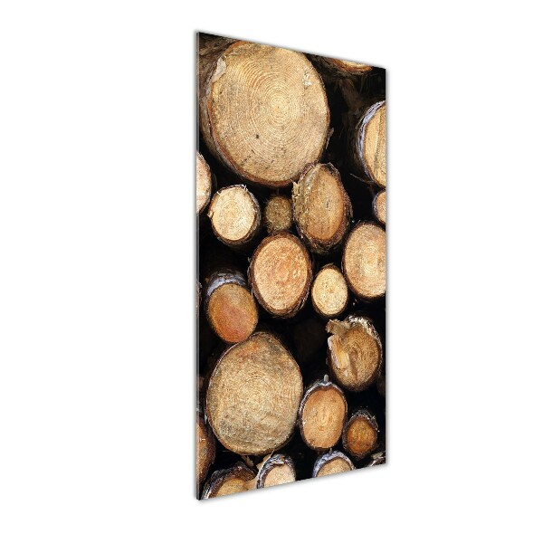 Acrylic print Logs