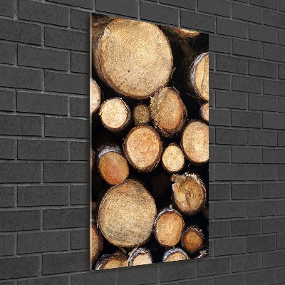 Acrylic print Logs