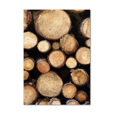 Acrylic print Logs