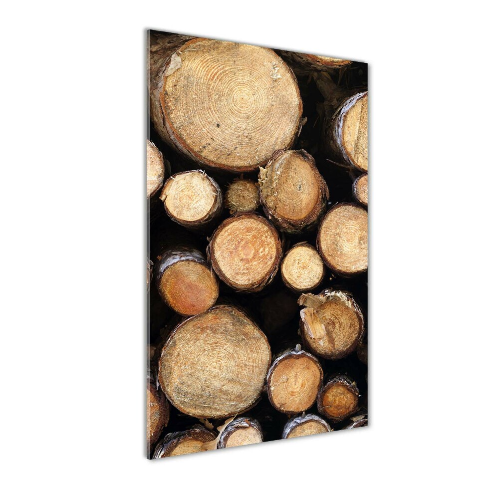 Acrylic print Logs