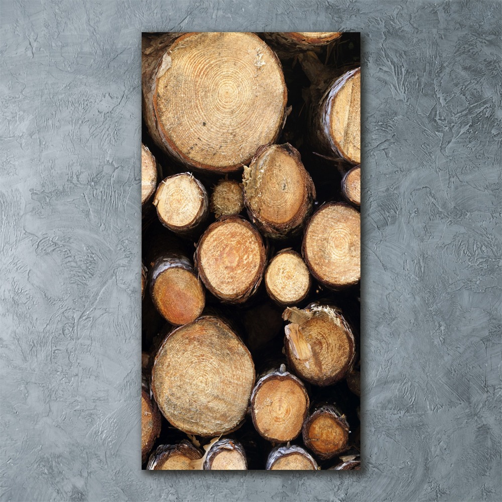 Acrylic print Logs