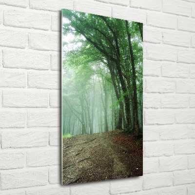 Print on acrylic Fog in the forest