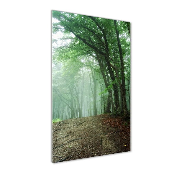 Print on acrylic Fog in the forest