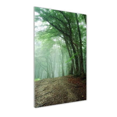 Print on acrylic Fog in the forest