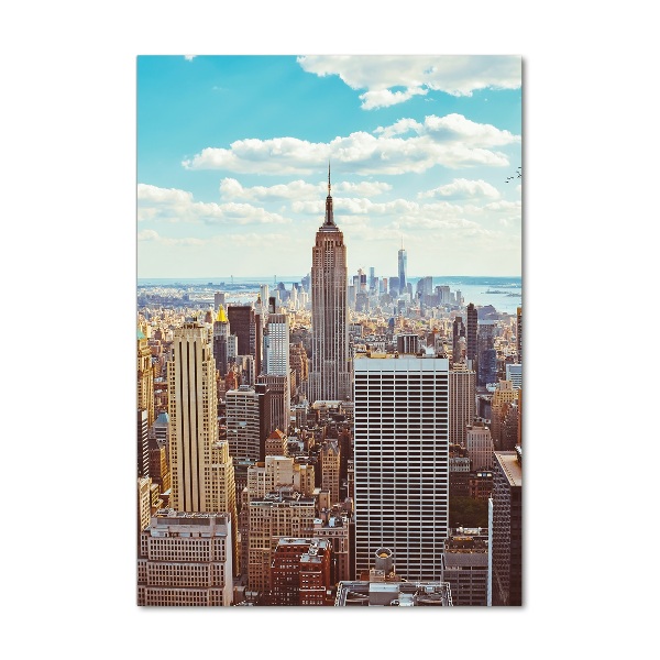 Acrylic print New York Bird Lot