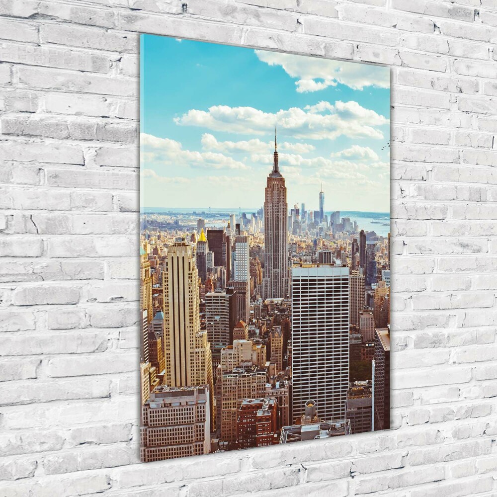 Acrylic print New York Bird Lot