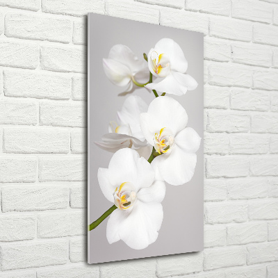 Print on acrylic White orchid