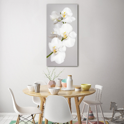 Print on acrylic White orchid