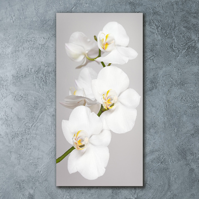 Print on acrylic White orchid