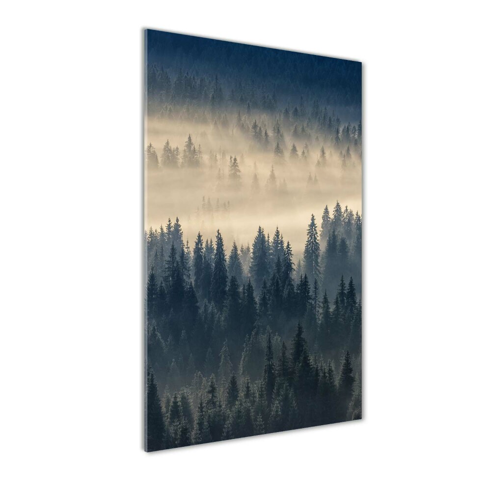 Print on acrylic Fog over the forest