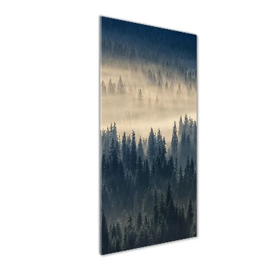 Print on acrylic Fog over the forest