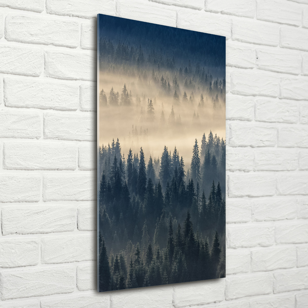 Print on acrylic Fog over the forest