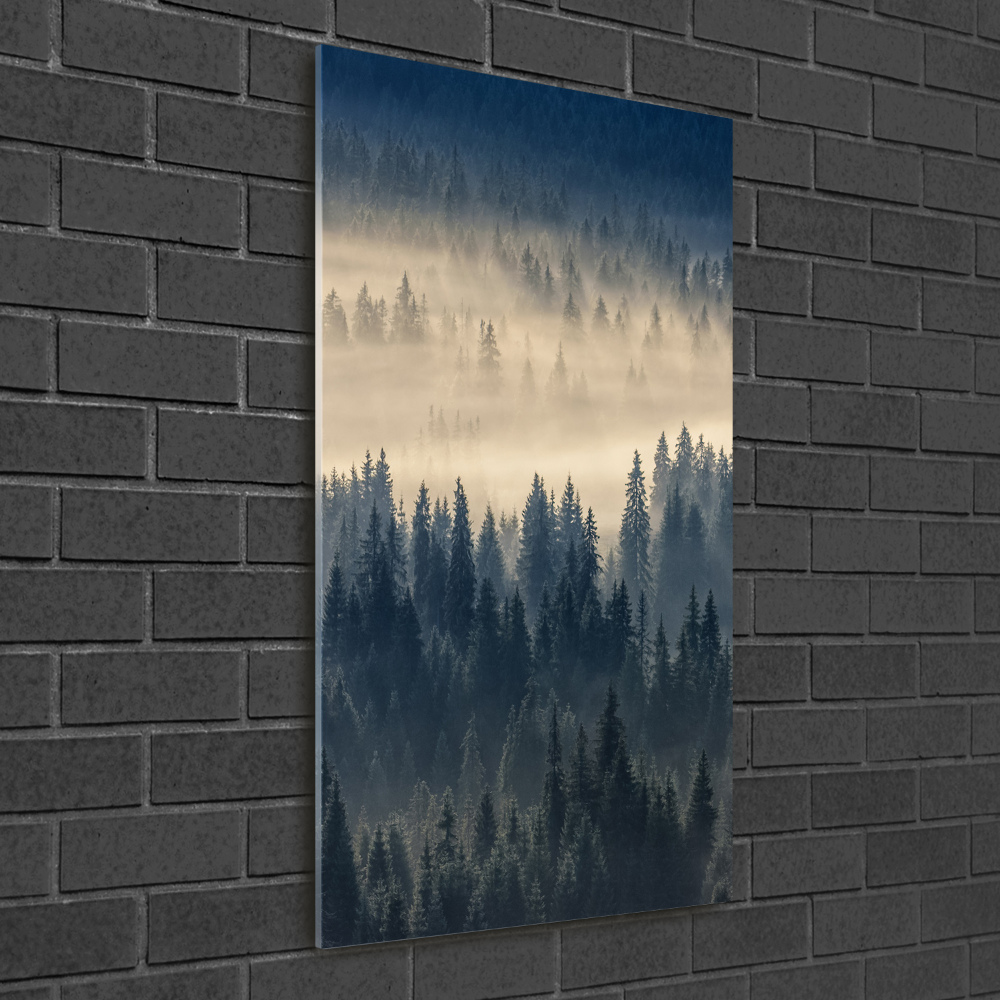 Print on acrylic Fog over the forest