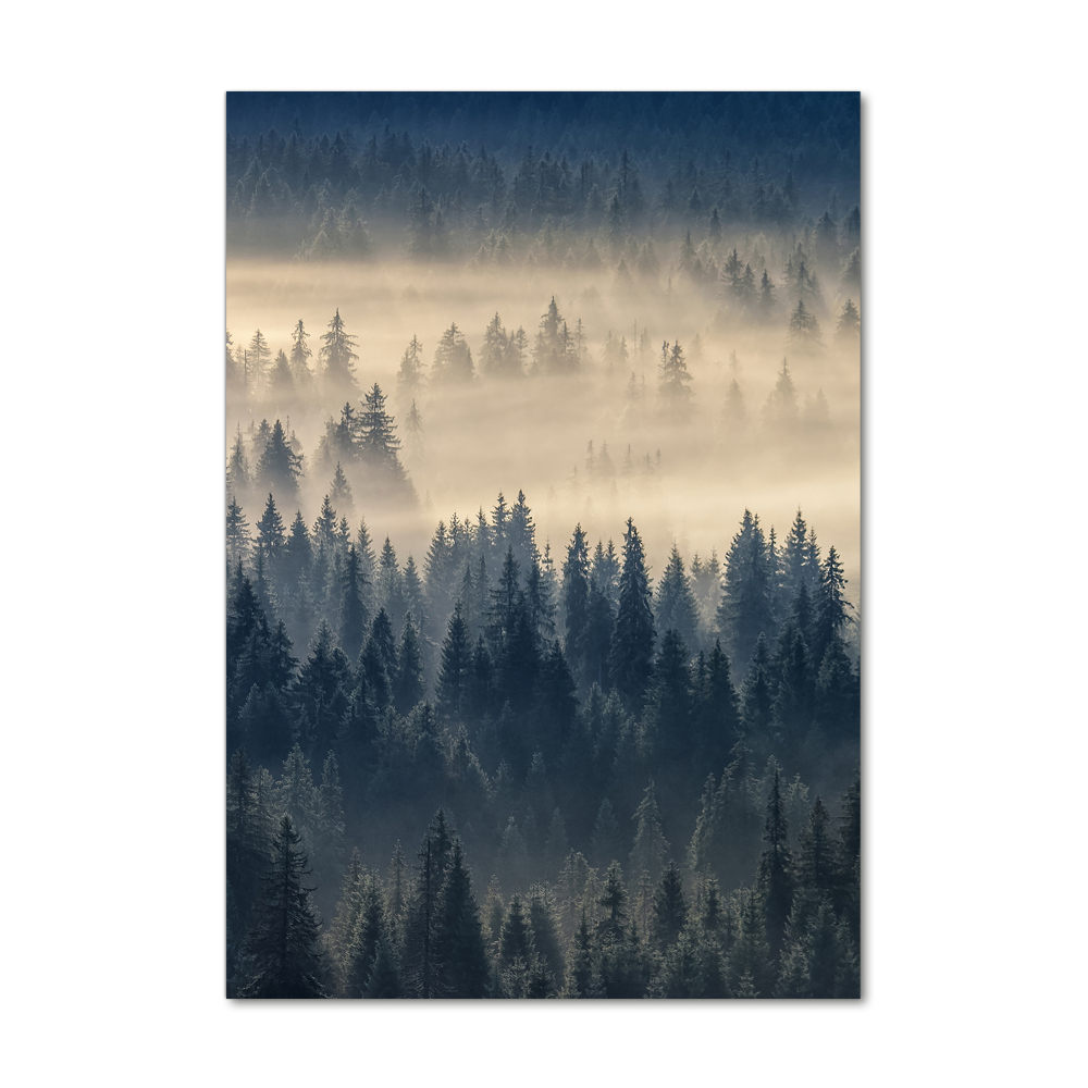 Print on acrylic Fog over the forest